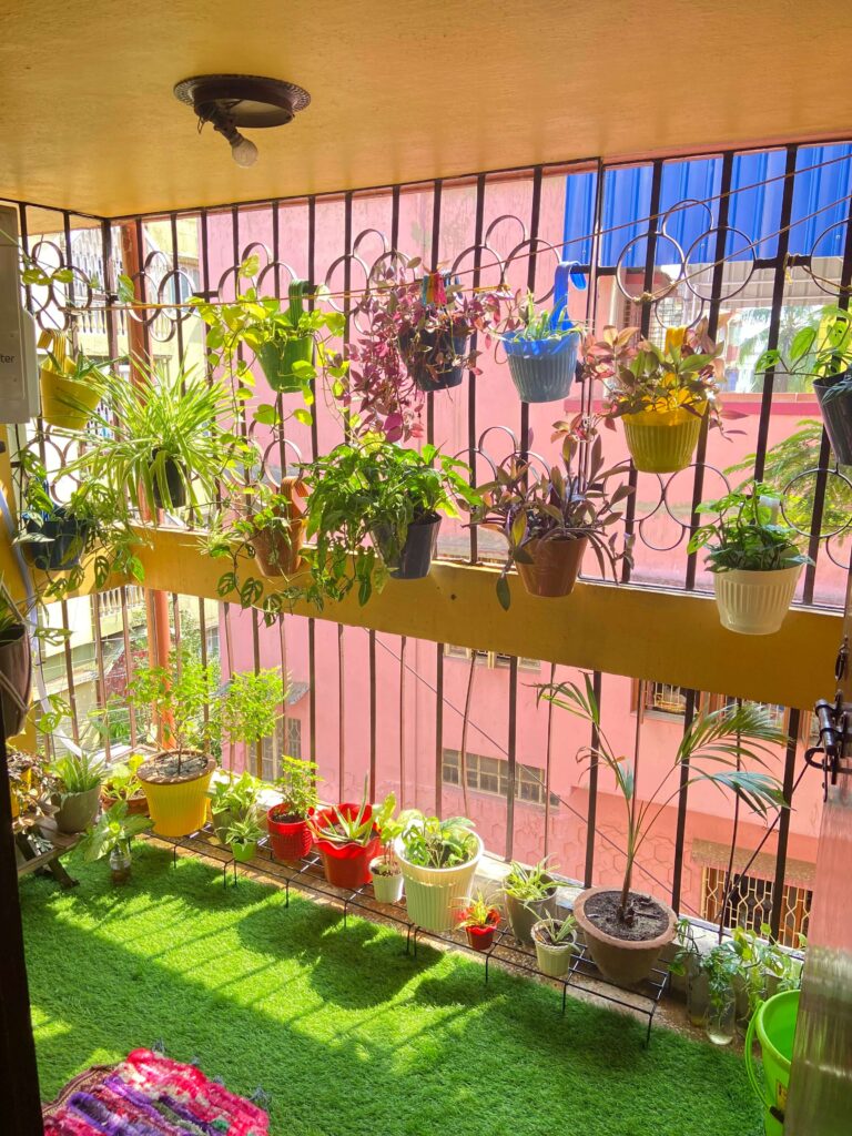 taking care of plants and hobby adds joy while living alone 