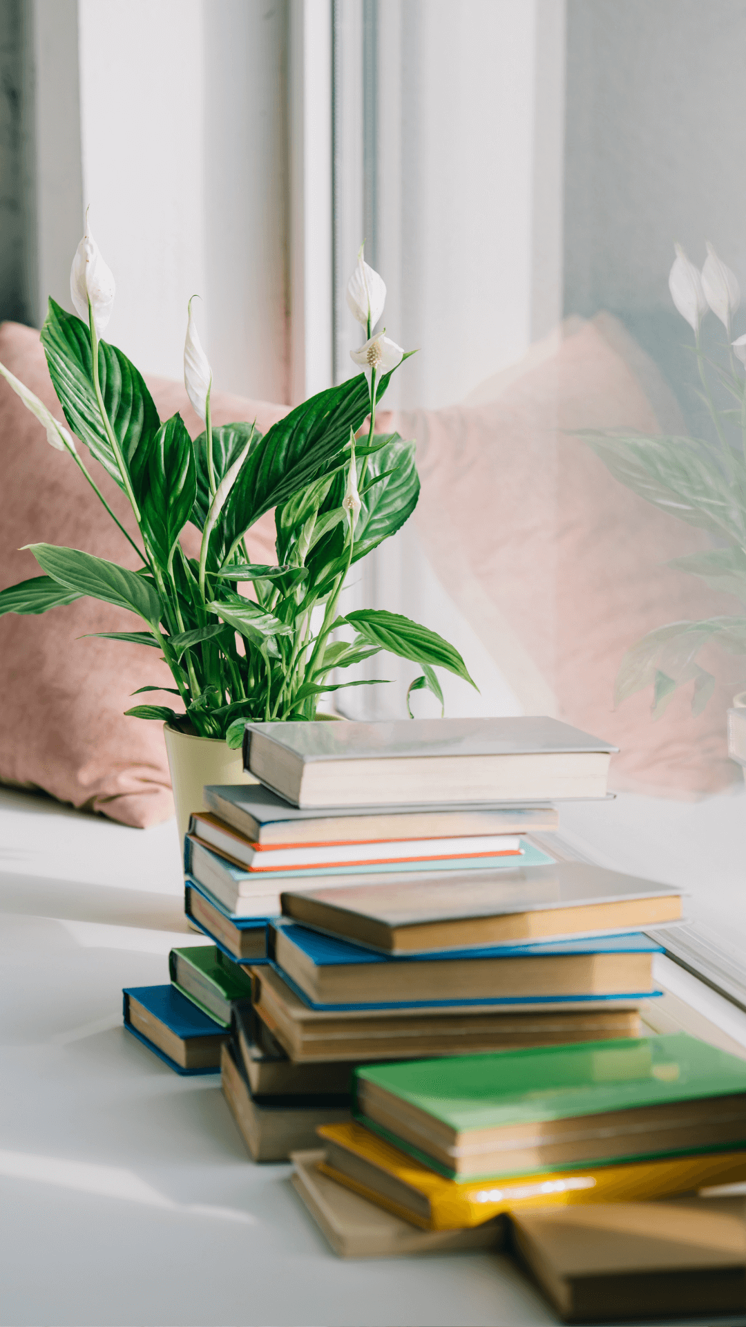 10 Books That Changed My Life Vishaka Blone 10 Books That Changed My Life Vishaka Blone