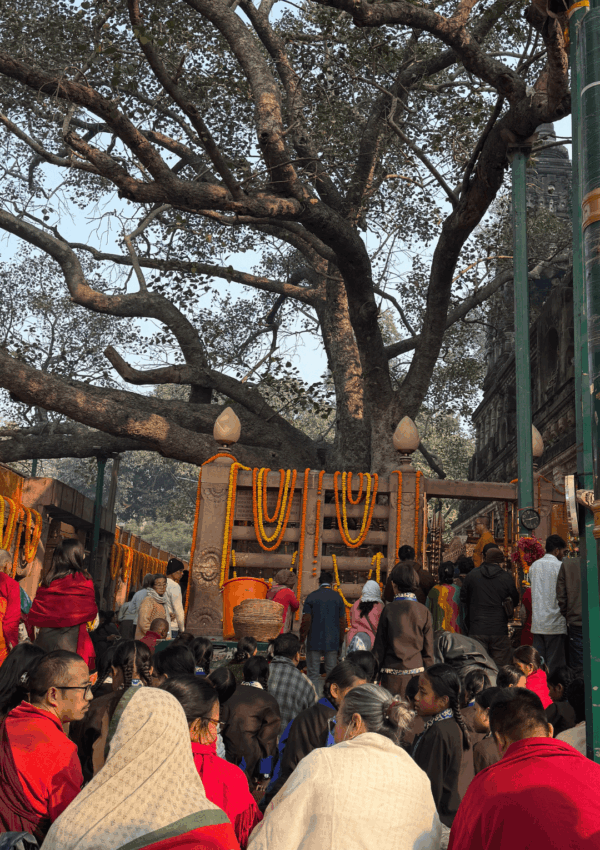 A Practice In Patience- Sitting With What Irritates Me