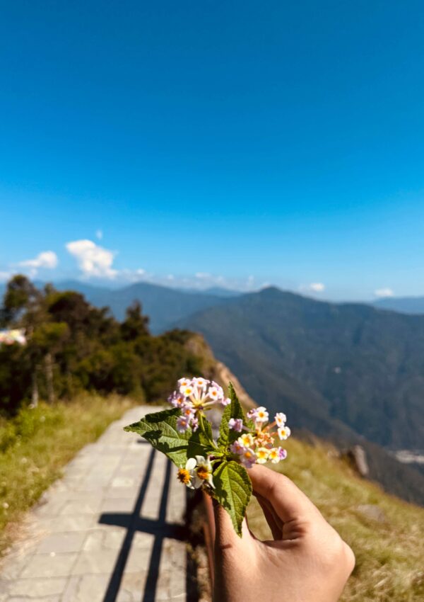 How to Imagine Joyfully