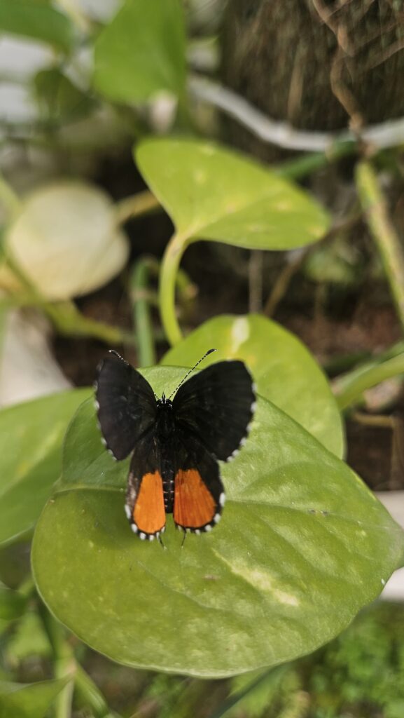 Treat Nature Like an Old Friend