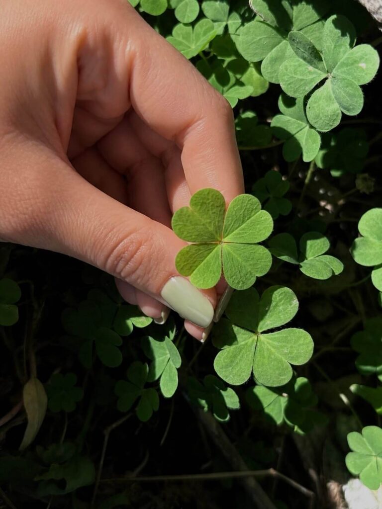 Make Your Own Little Magic