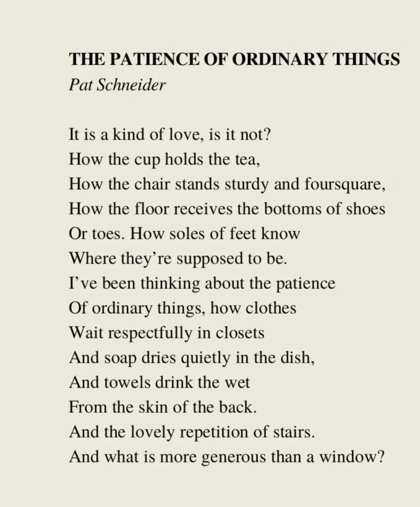 The patience of ordimary things